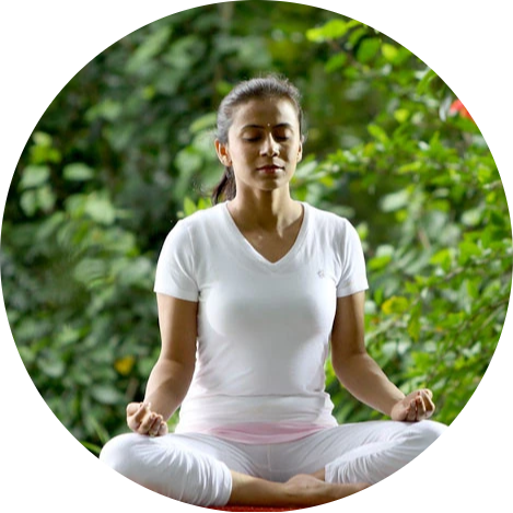 Promotes Daily Wellness 