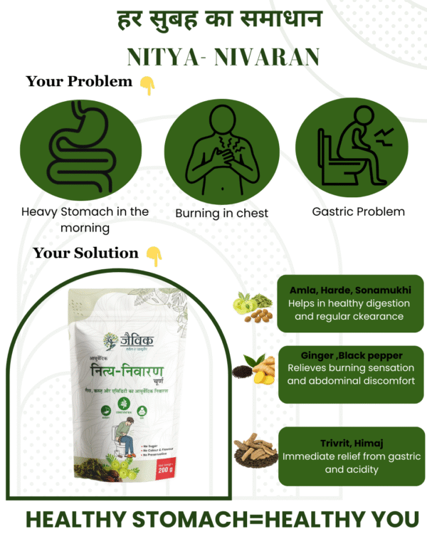 Nitya Nivaran Churan – Your Daily Relief for Constipation, Indigestion, Gas, Bloating, and Acidity view 3
