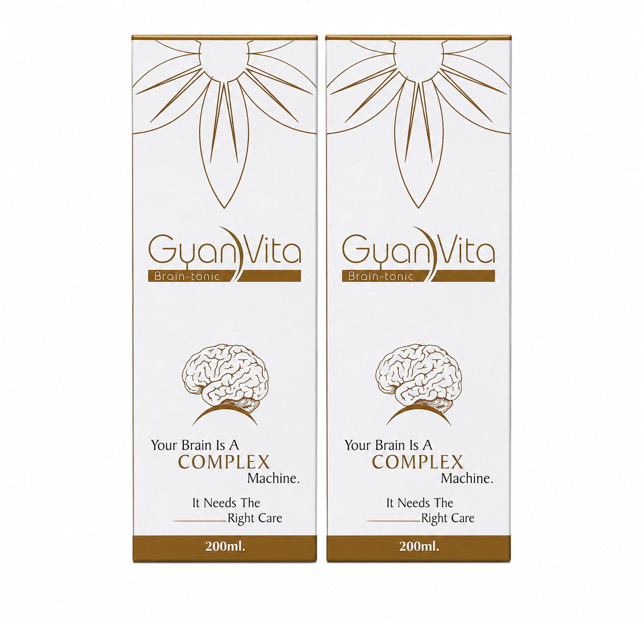 GYANVITA SYRUP 4